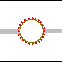 anicarga