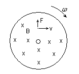 figura 6